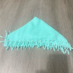 Elegant Aqua Fringed Scarf